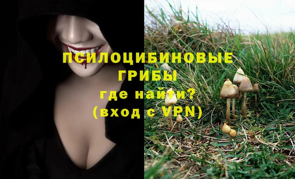 марки lsd Балахна
